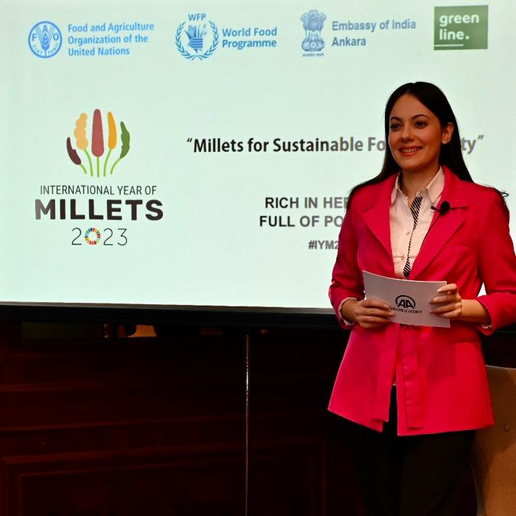 Expert panel discussion on Millets for Sustainable Food Security - International Year of Millets 2023 (23.01.2023)